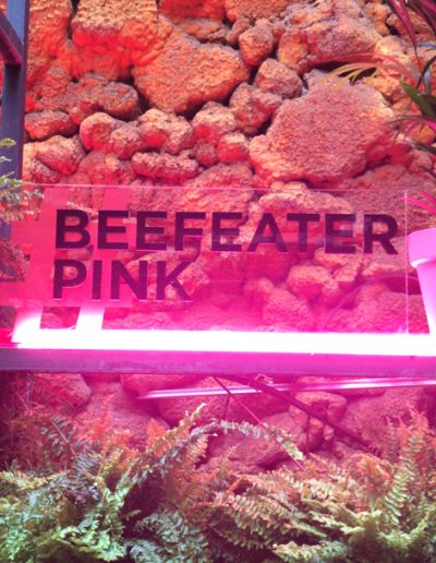 Beefeater Pink Mercado San Idelfonso